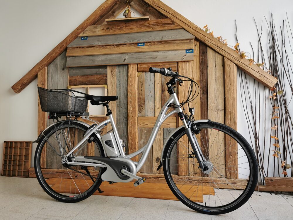 Flyer C Series E-Bike