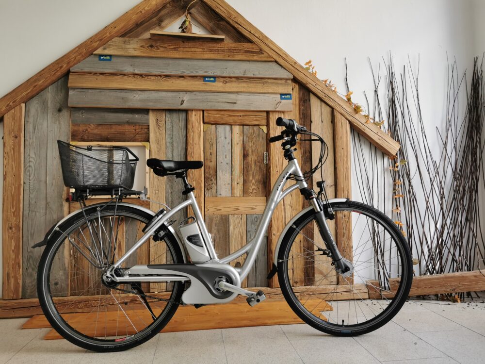 Flyer C Series E-Bike