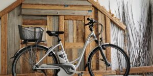 Flyer C Series E-Bike