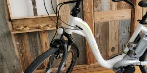 Flyer C Series E-Bike